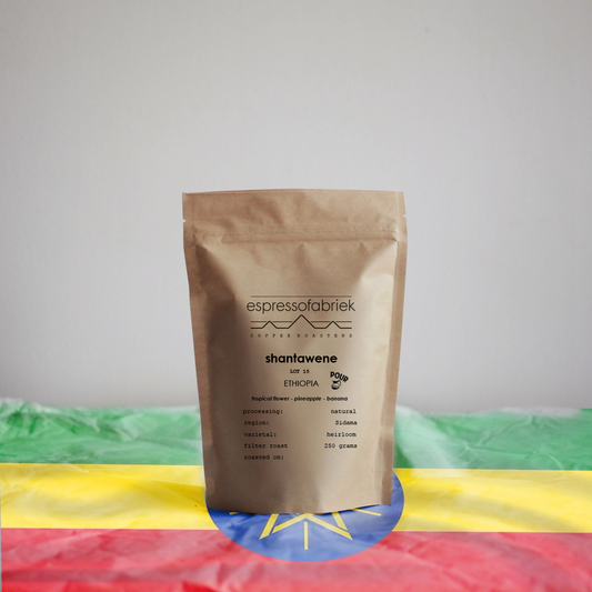 Filter roast - Ethiopia - Shantawene