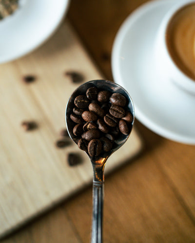 Espressofabriek, photo 3